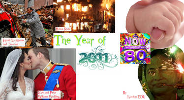 The Year of 2011