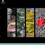 Desktop Screenshot II