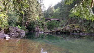 Bridge Over Green Water