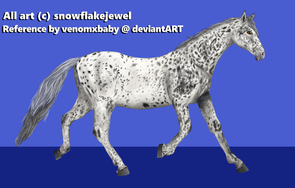 Black Leopard Appaloosa By Snowflakejewel On Deviantart Black Leopard Appaloosa By Snowflakejewel On Deviantart