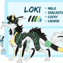 LOKI REFERENCE 2018