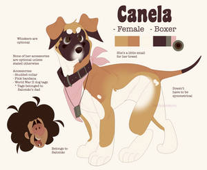 CANELA REFERENCE 2024