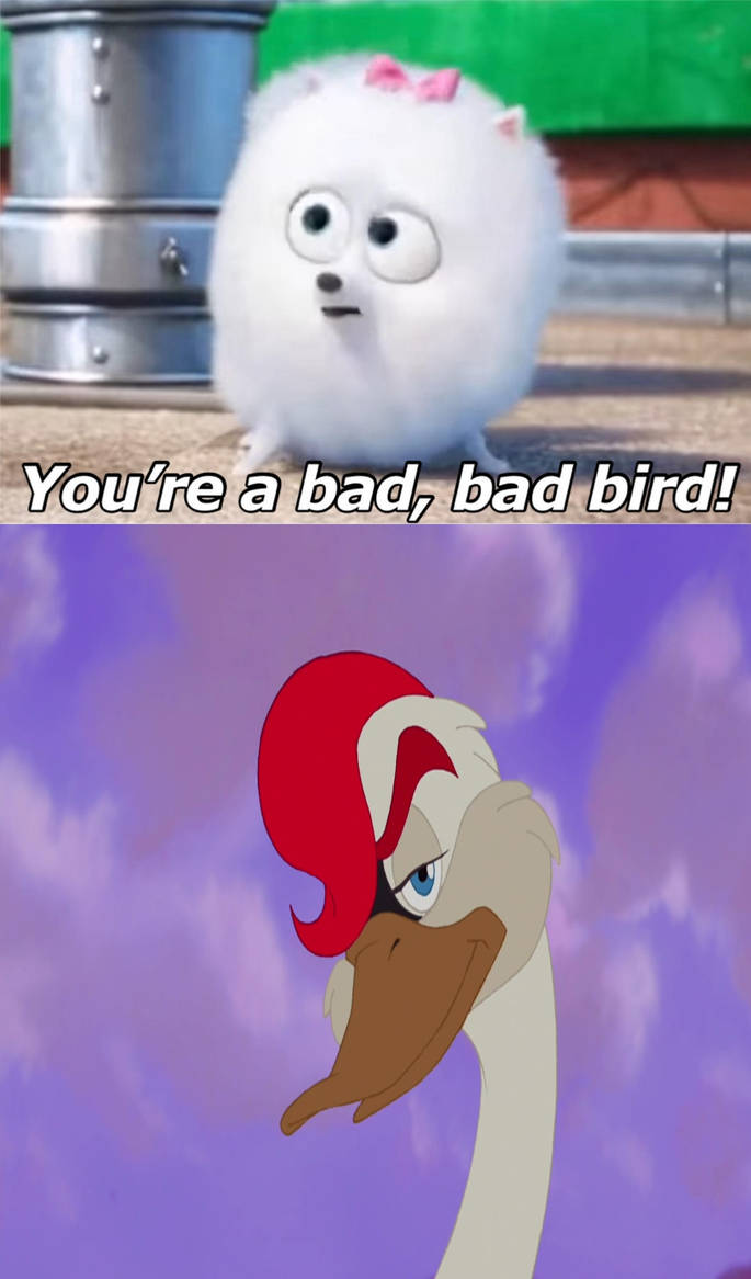 Bad Brid Gidget Calls Boyd A Bad Bad Bird by kimstember on DeviantArt