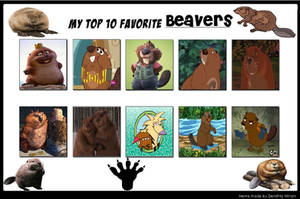 My Top 10 Favorite Beavers
