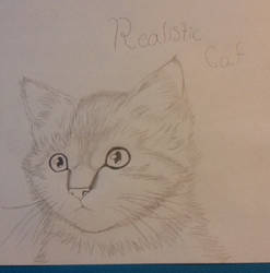 my realistic kitty cat