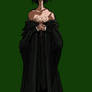 different portrait of Snape10
