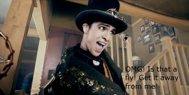 Brendon's fly