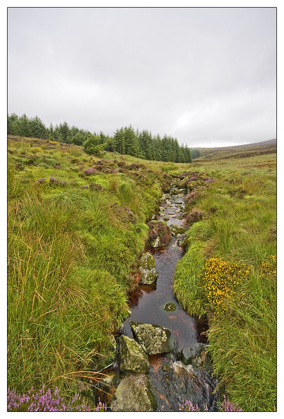 Wicklow mountains 4