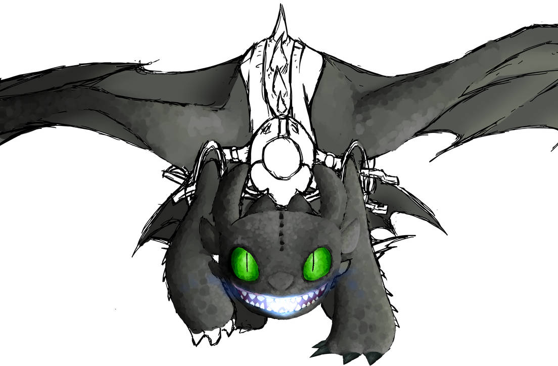 Toothless! by nightfuryshadows on DeviantArt
