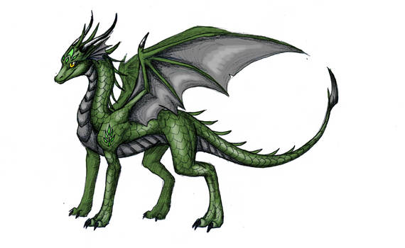 My earth dragon (Zane)