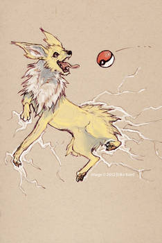 a jolteon