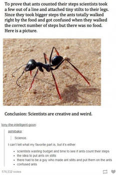 Ant science