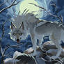Winter Moon