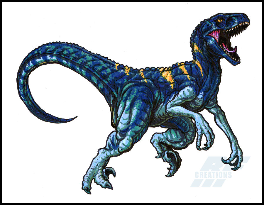 Velociraptor Blue, Me, crazy art skinny markers and white colored pencil  for blending, 2021 : r/Art