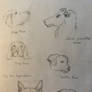 Rosie Crafts Dog Ears Drawings