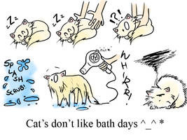 Cat's Don't Like Baths