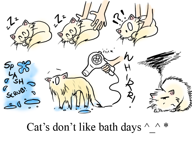 Cat's Don't Like Baths