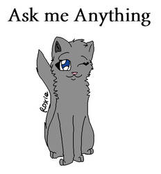 Ask me anything