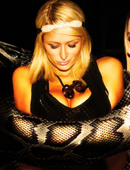 Paris Hilton Constriction