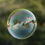 my world in a bubble.