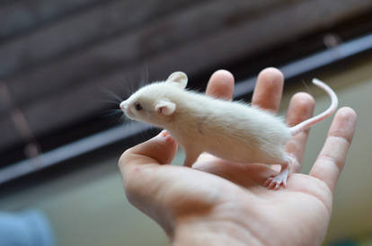 welcome to the world.