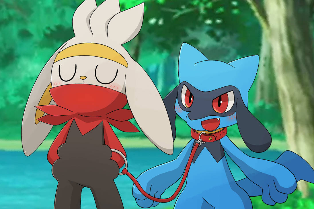Raboot and Riolu by omynoh on DeviantArt