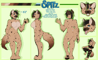 Spitz [c]