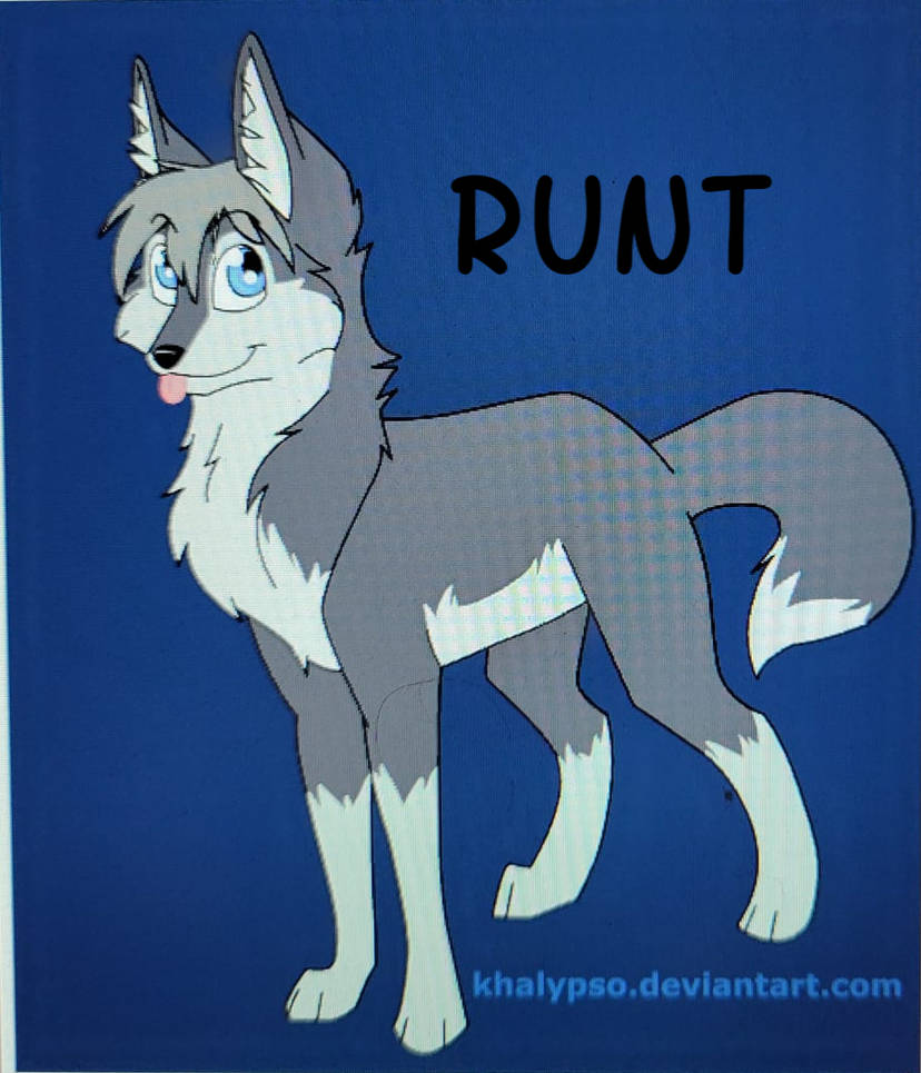 Alpha and Omega Runt by princesssugarpoochen on DeviantArt