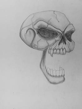 Skull