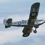 Hawker Hind in the evening