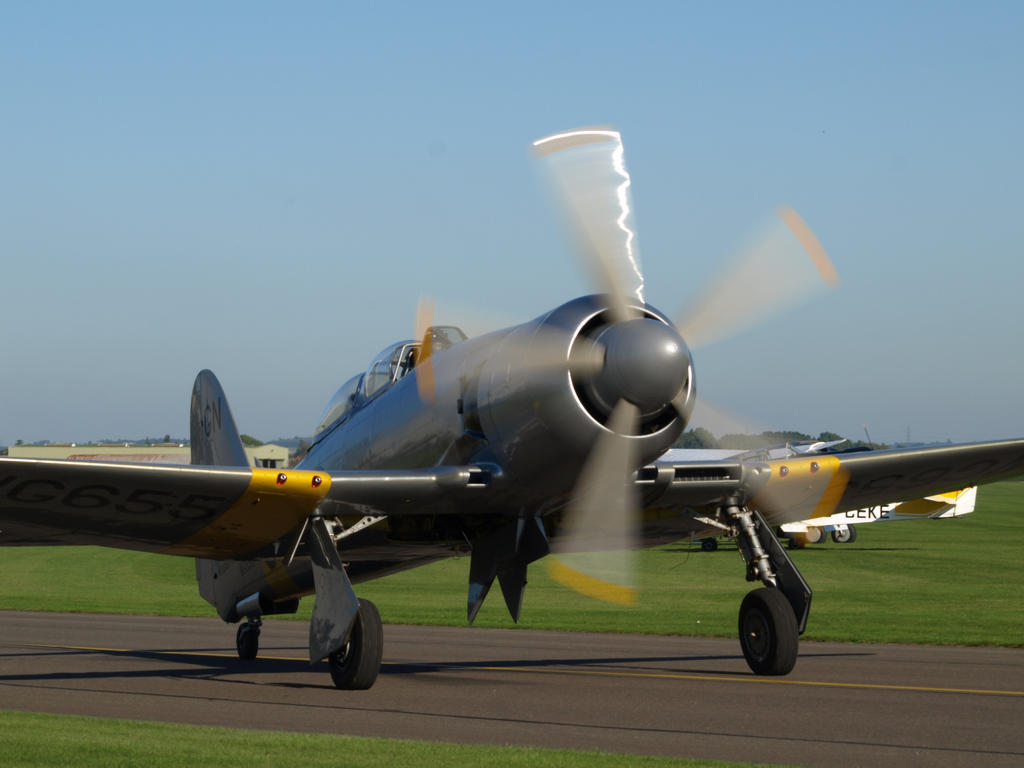 Sea Fury Taxi