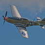 P51 Mustang Fast pass