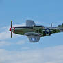 P51 Mustang Sywell Display