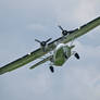 Catalina Close Up Sywell