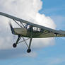 Storch Old Warden