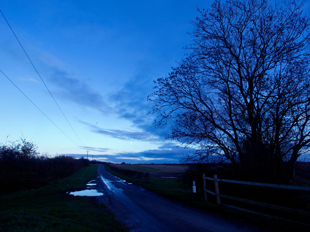 Winter Light Cambridgeshire
