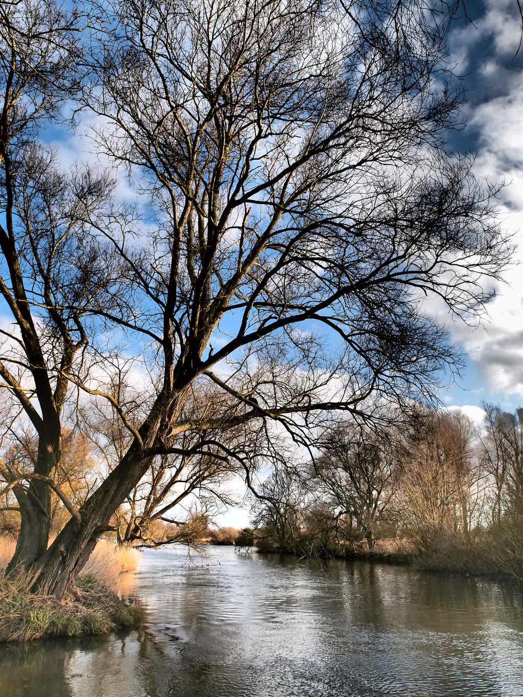 River Ouse Cambridgeshire - Early Morning