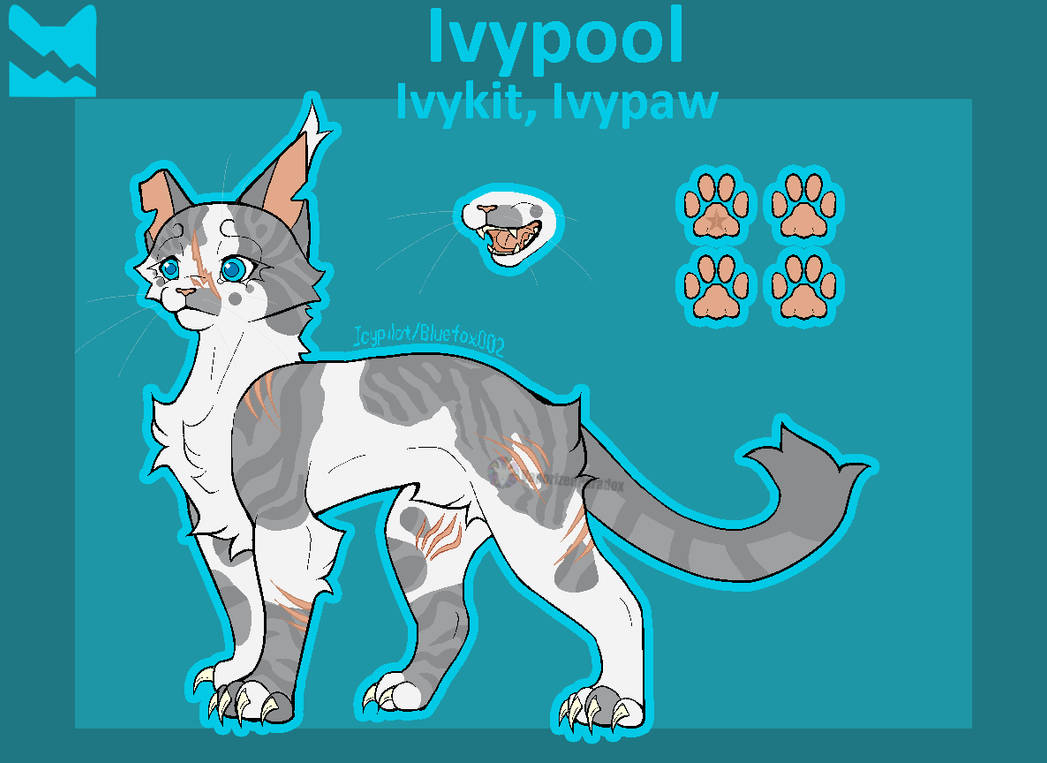 Warrior Cats Design #11 Ivypool by VaporizedParadox on DeviantArt