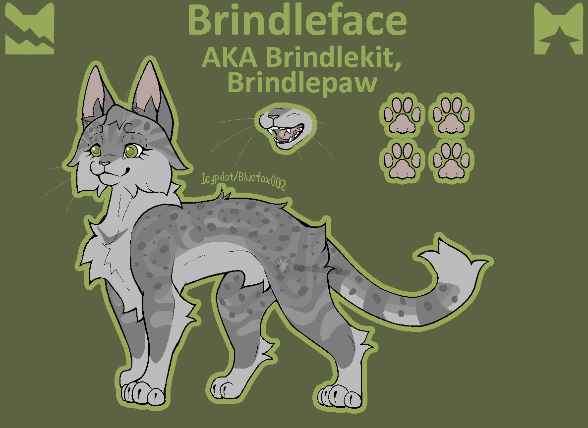 Brindlekit Warrior Cats Design #49 Brindleface by VaporizedParadox on DeviantArt