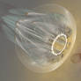 Jellyfish Predator