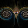 Bird of Paradise