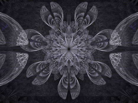 Grey fractal flower with dissected petals