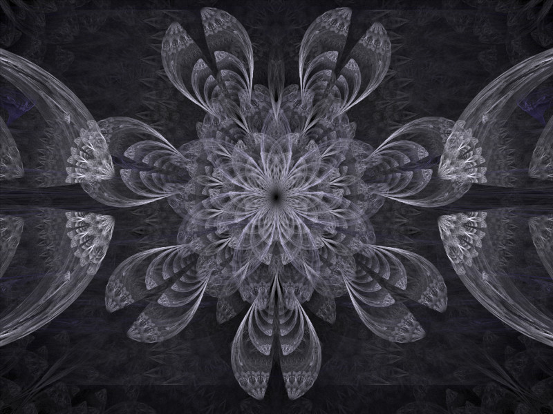 Grey fractal flower with dissected petals