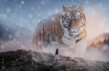 Big tiger