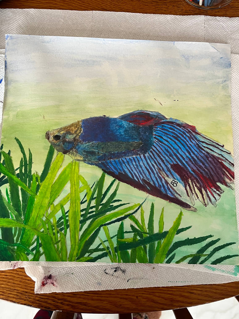 Blue Betta Fish by GaelicWolfhound on DeviantArt