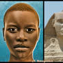 The Face of the Sphinx Reconstruction