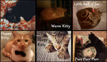 Soft kitty warm kitty...