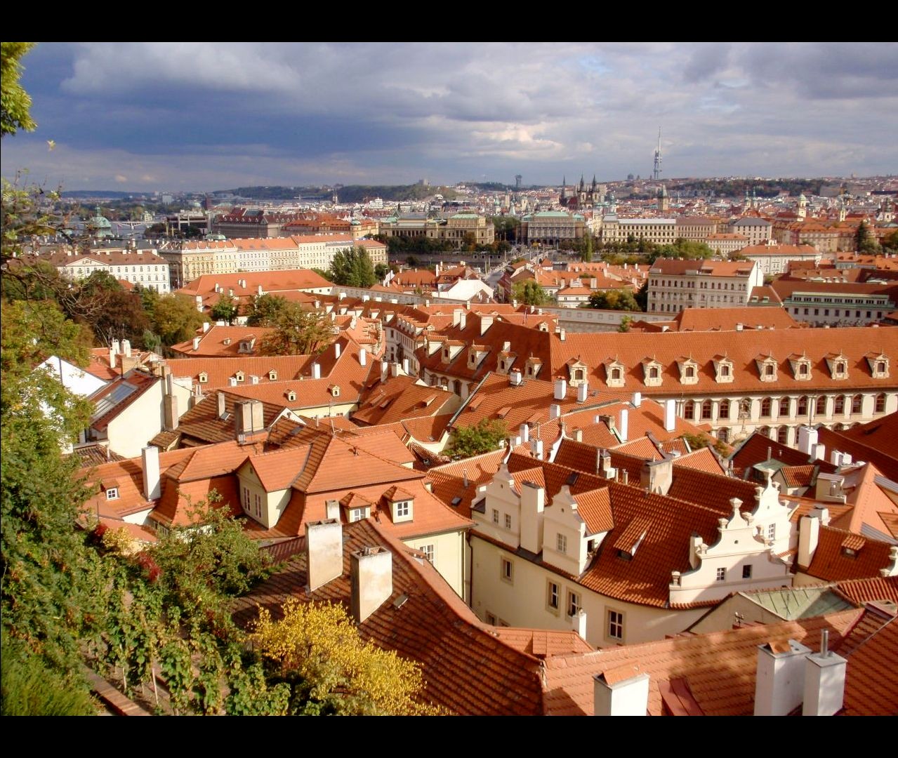 The roofs ....