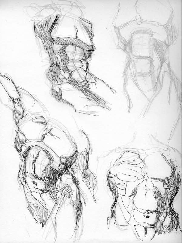 Anatomy Studies