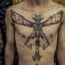 Dragonfly tattoo v2